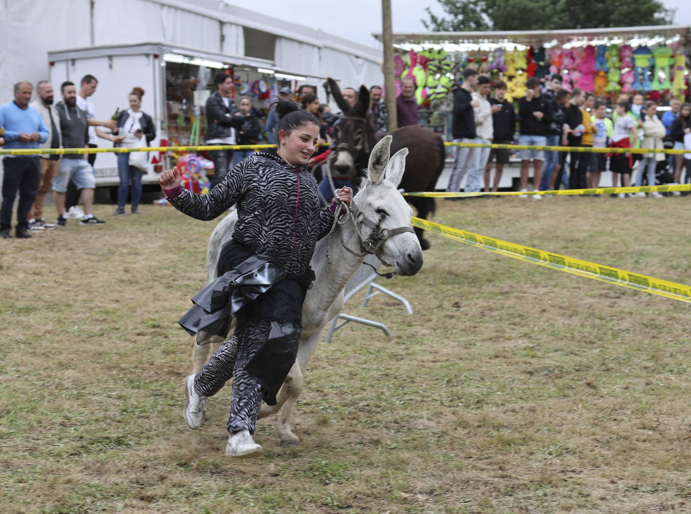 Con motivo de las fiestas de San Cristóbal Collao recuperó este lunes a partir de las ocho de la tarde su tradicional carrera de burros (con y sin disfraces). Se trata de una cita que ya suscitó cierta polémica en el pasado debido a las quejas de los colectivos animalistas, aunque la organización demostró tener todos los papeles en regla y la diversión ha continuado hasta la pandemia sin impedimento