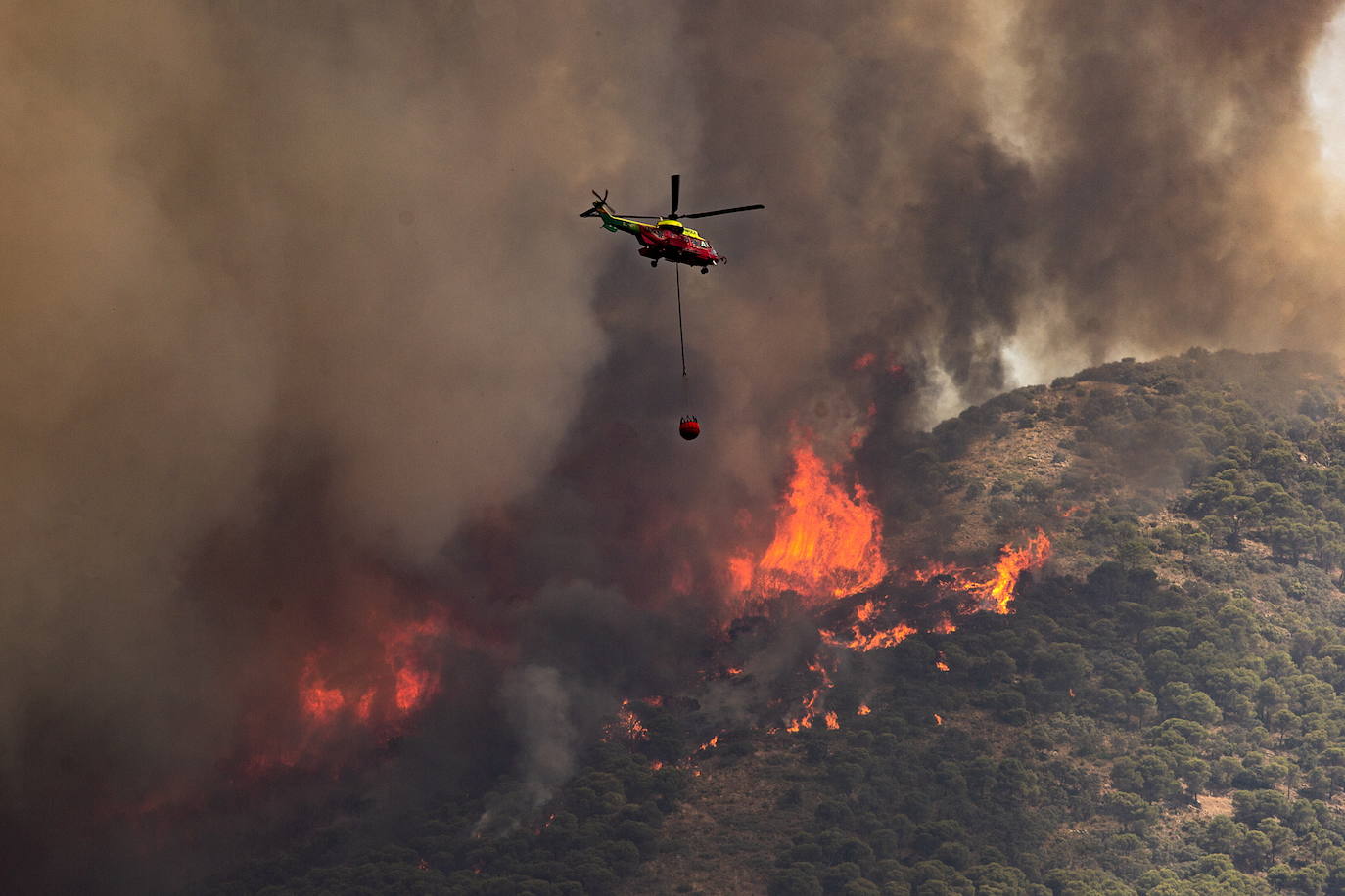 Málaga. La situación también es crítica en esta provincia, donde ya se superan las 3.000 personas evacuadas. El fuego no ha dado tregua a los efectivos forestales en la Sierra de Mijas ya que las condiciones para las tareas de extinción son extremadamente difíciles dada la orografía, las condiciones climatológicas y la superficie repleta de pinares. Todos estos factores provocaron que este viernes las llamas se propagaran hasta los 50 metros por minuto.