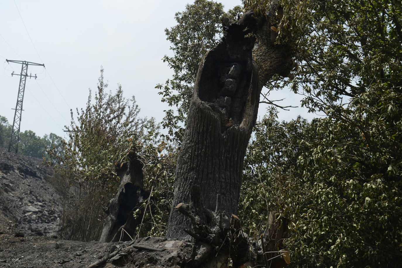 Fotos: Los incendios asolan Galicia destruyendo casas y parajes naturales