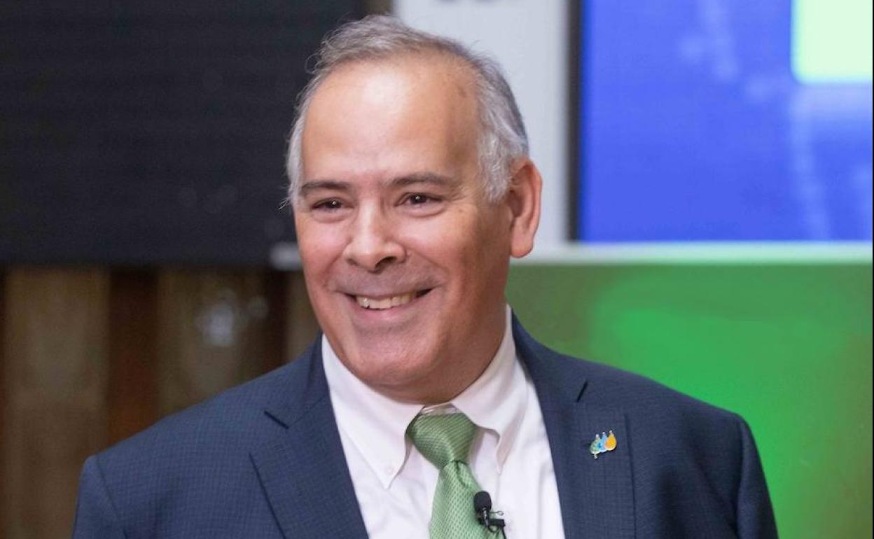 El consejero delegado de Iberdrola España, Mario Ruiz-Tagle. 