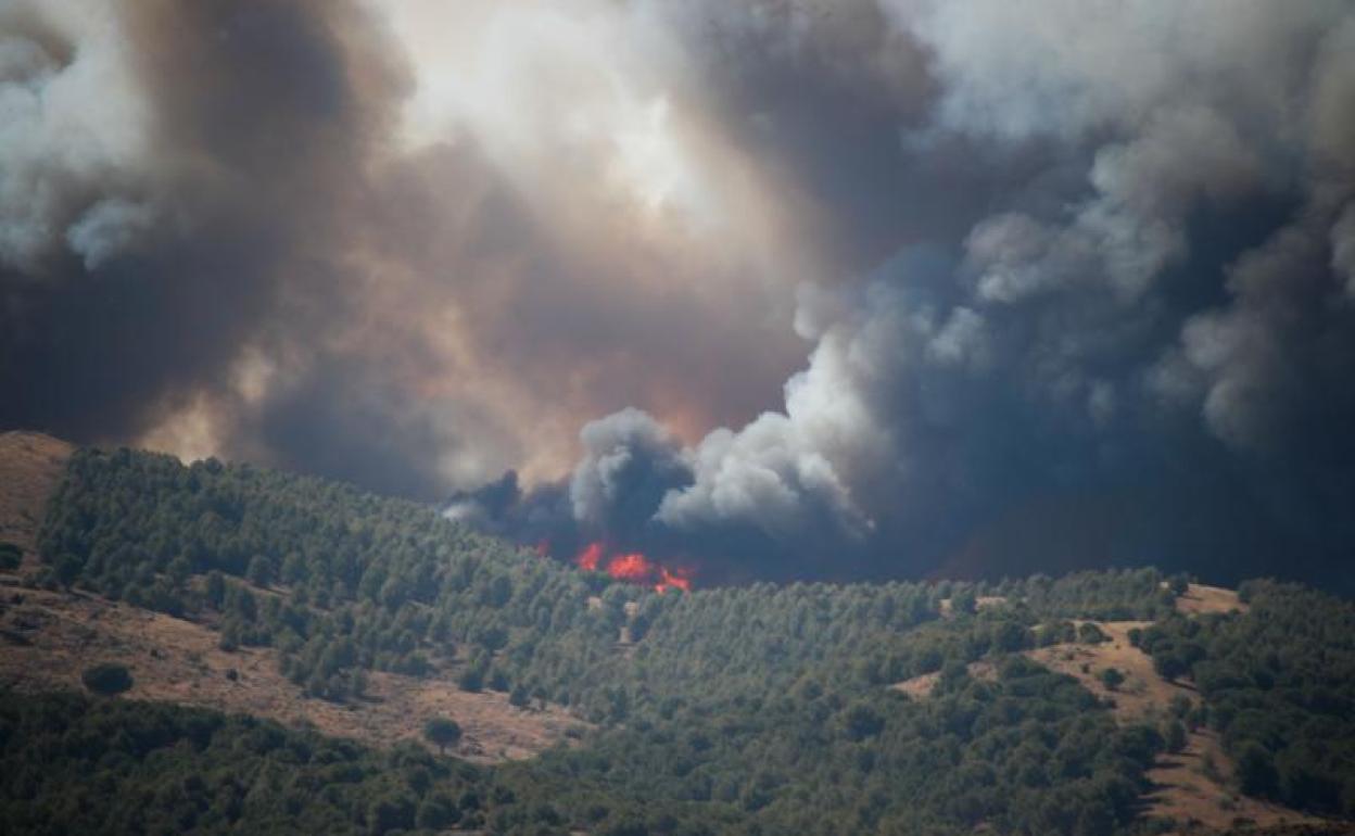 Incendio de Ateca, en Zaragoza. .