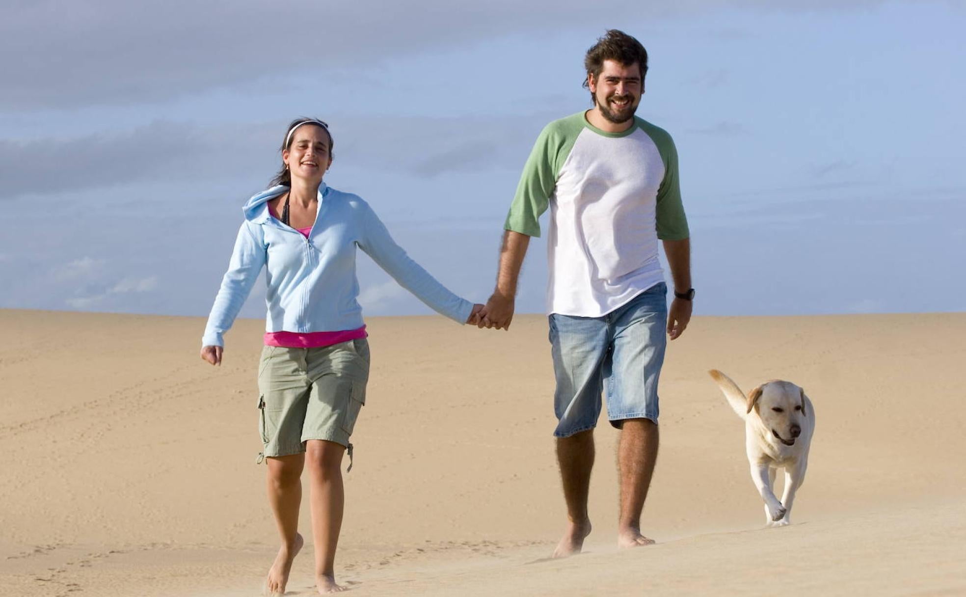 Los perros también deben protegerse del sol y hay otra serie de precauciones que se deben tener al llevarlos a la playa 