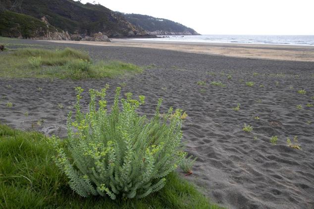 Fotos: Estas son las playas asturianas que no te puedes perder este verano