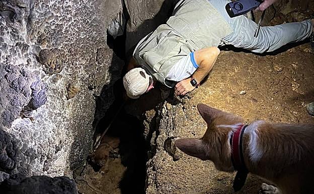 Los Bomberos del parque de Llanes acudieron hasta el lugar para hacerse cargo del rescate.