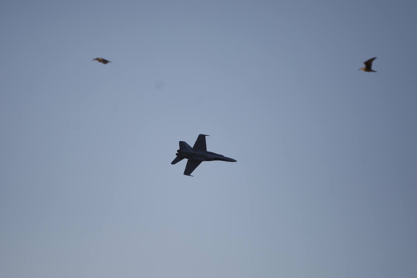 Fotos: Espectacular exhibición del Festival Aéreo de Gijón