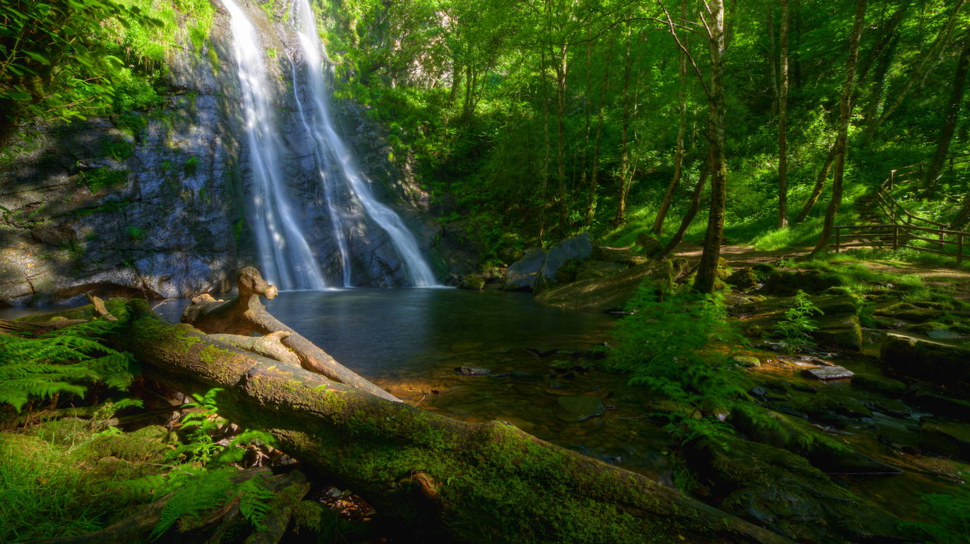 La cascada de A Seimeira, en Santa Eulalia de Oscos, ofrece una opción similar a la anterior. Para llegar hasta ella hay que realizar una magnífica ruta que se inicia desde el área recreativa de Pumares. Pasearás por un camino de cuento en el que el agua y el bosque serán los protagonistas y cuyo espectáculo final lo encontrarás en la imponente cascada.