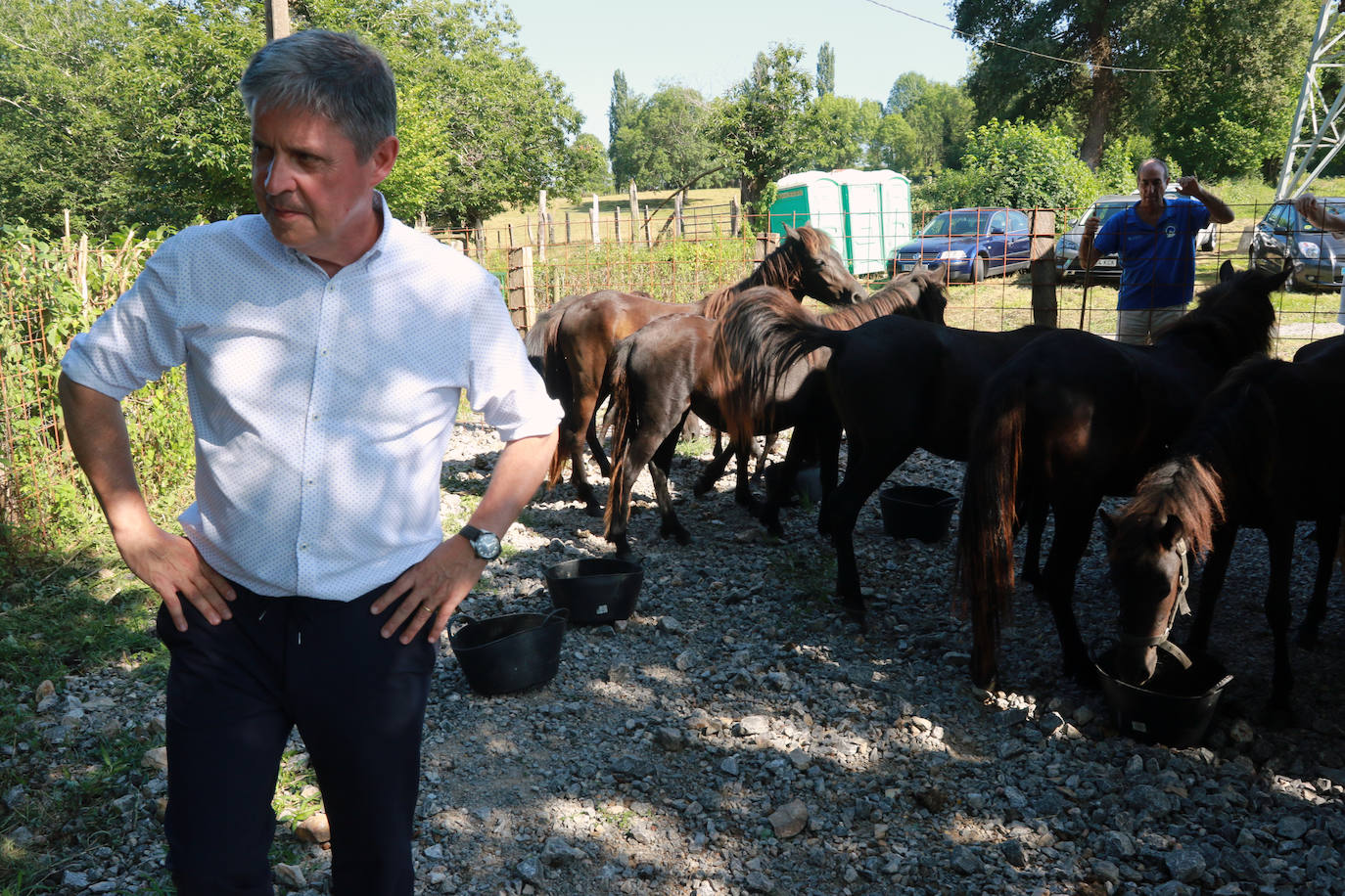 Fotos: La Asociación Conservadora de Asturcones del Sueve premia a sus colaboradores