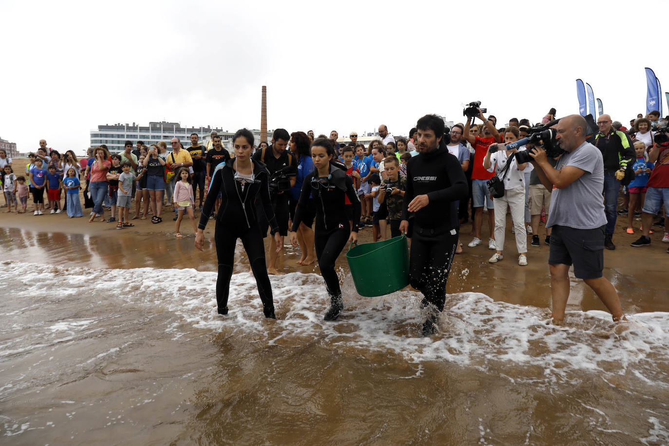 Fotos: Una treintena de rayas liberadas en la playa de poniente