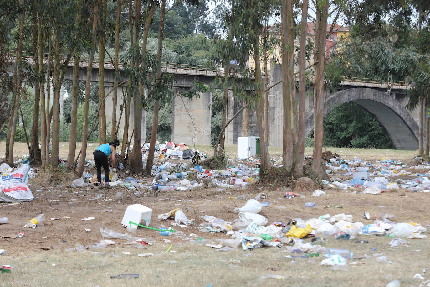 Fotos: El día después del Xiringüelu: &#039;tesoros&#039; para la estufa y 44 toneladas de basura