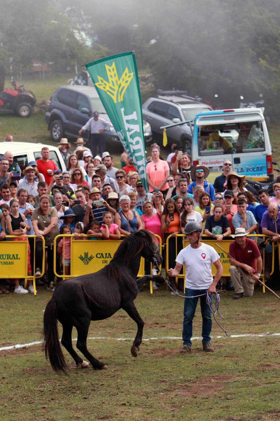 Fotos: La Fiesta del Asturcón recupera a su público