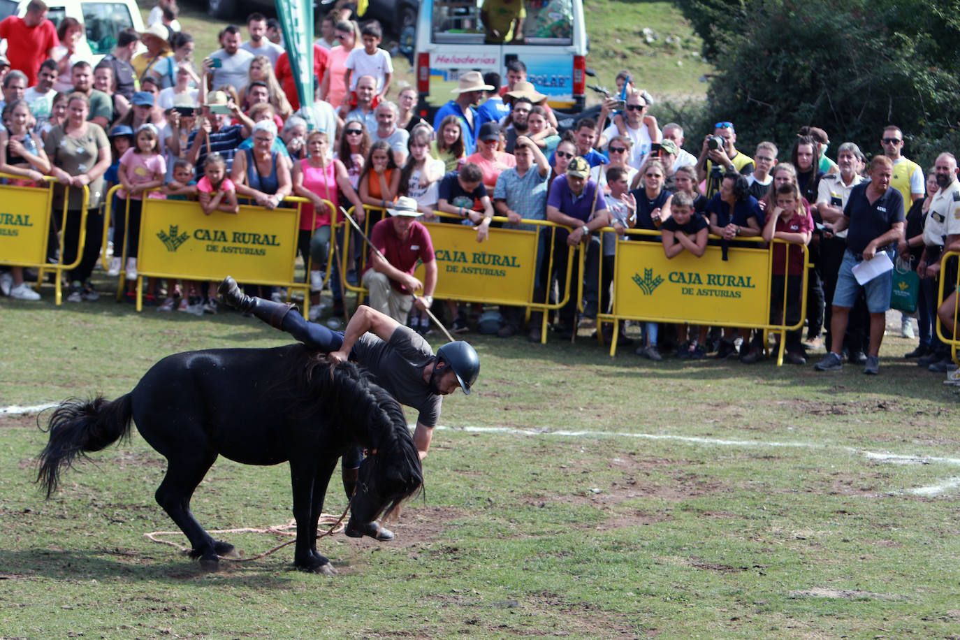 Fotos: La Fiesta del Asturcón recupera a su público