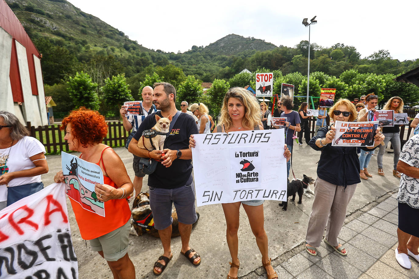 Fotos: Tensión y toros en Benia de Onís