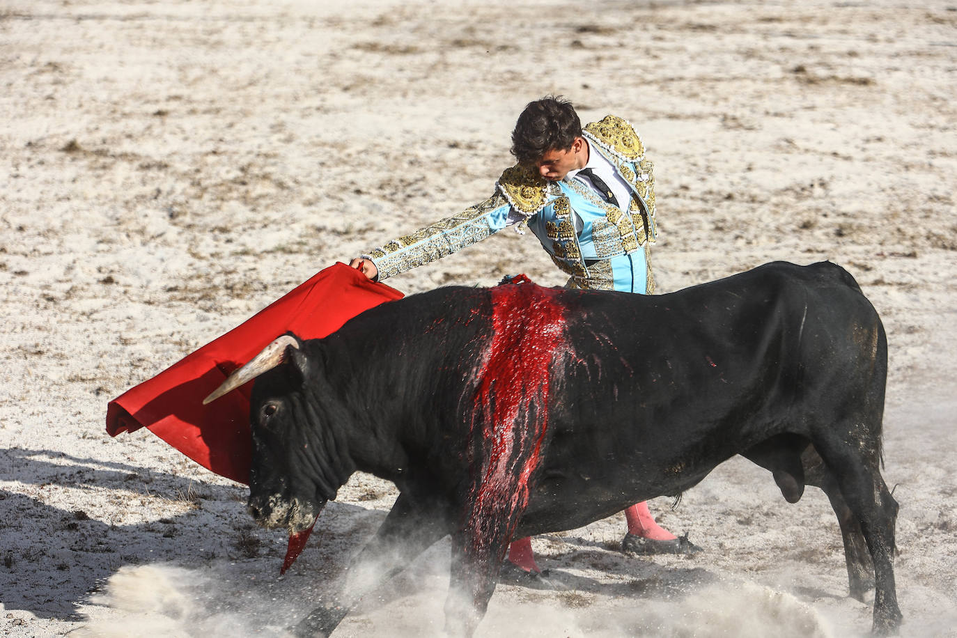 Fotos: Tensión y toros en Benia de Onís