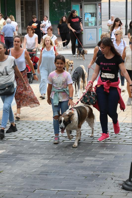 Fotos: Paseada canina contra la ordenanza