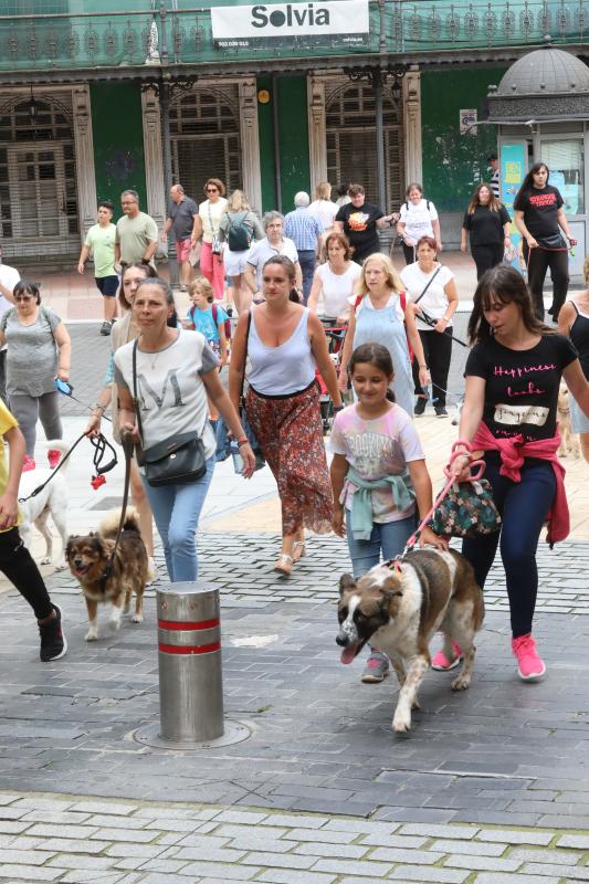 Fotos: Paseada canina contra la ordenanza
