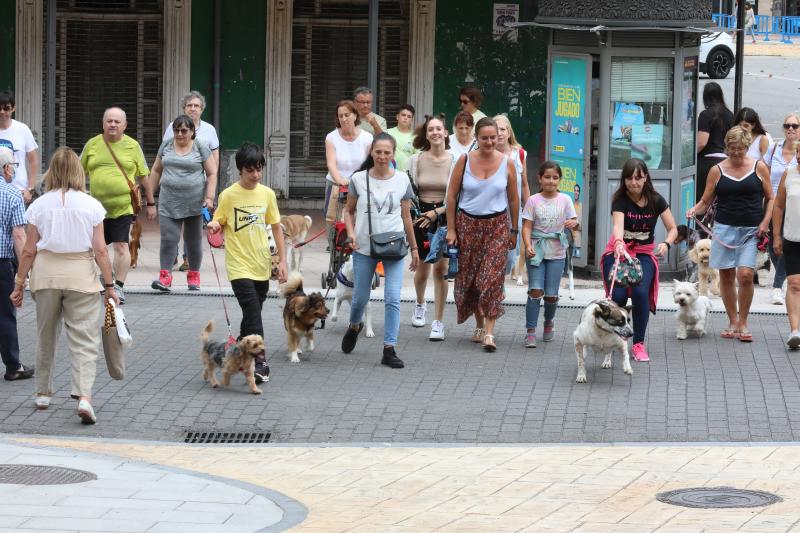 Fotos: Paseada canina contra la ordenanza