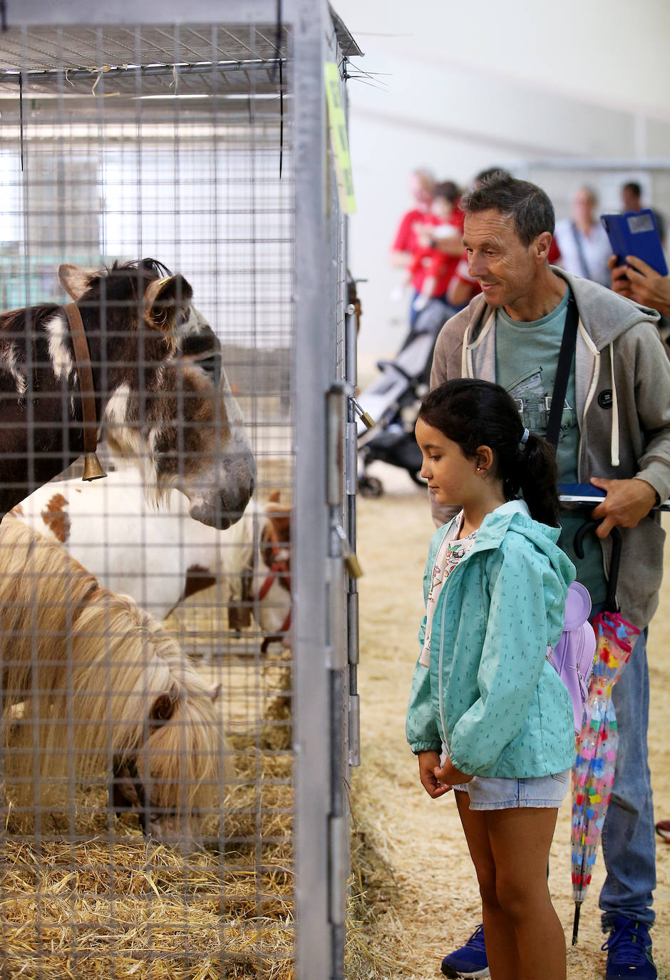 Fotos: Mercado de ganado en Avilés