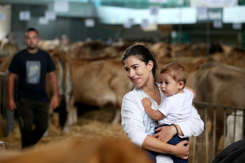 Fotos: Las vacas desfilan de nuevo en La Magdalena