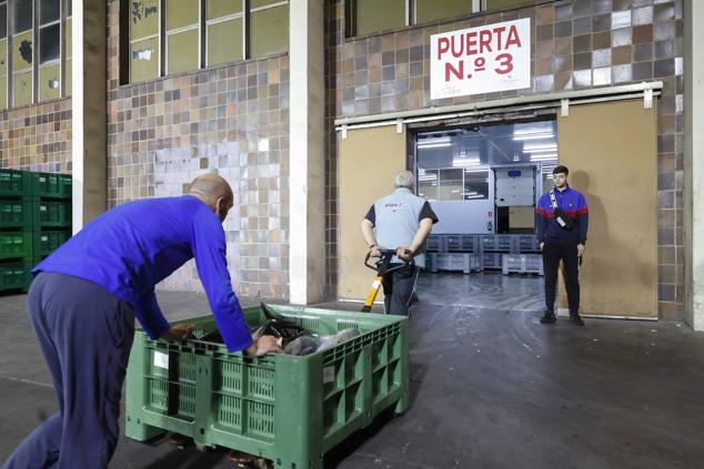 Fotos: 115.000 kilos de bonito en el Musel