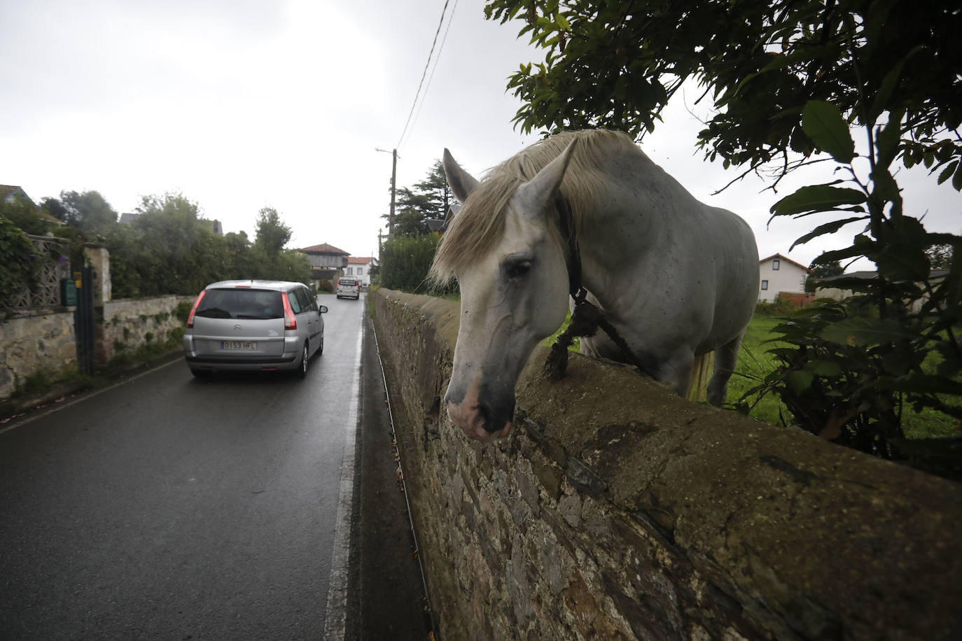 Fotos: Cadavedo, el tirón de ser Pueblo Ejemplar