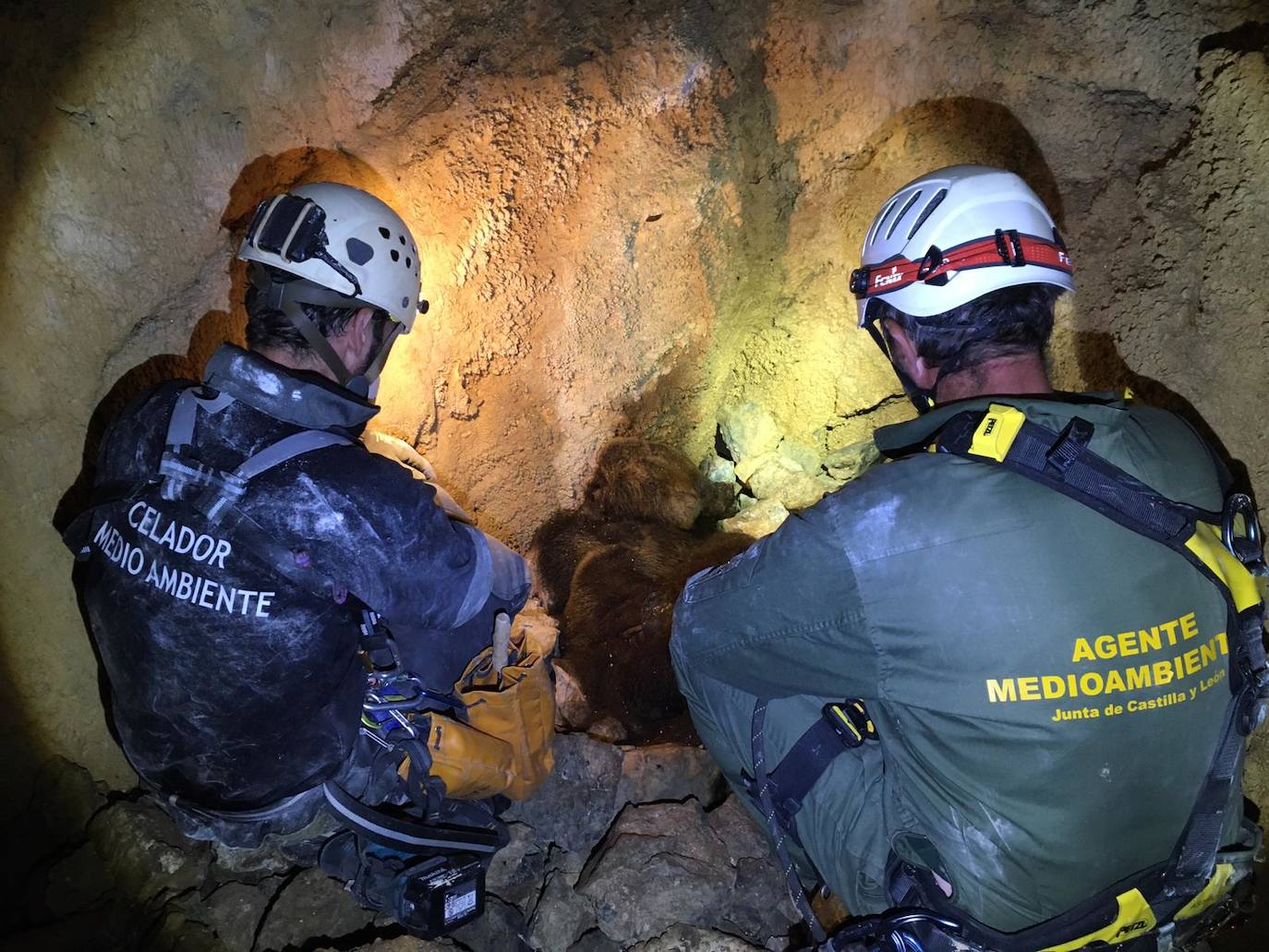 Efectivos de la Junta de Castilla y León localizaron los cuerpos en una estrecha cavidad a 33 metros de profundidad.