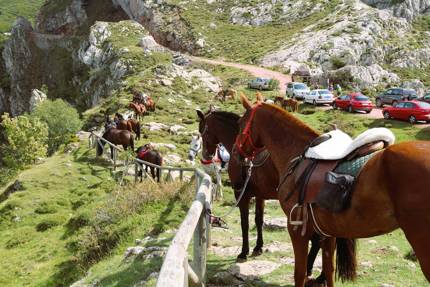 Fotos: Somiedo recuerda la trashumancia