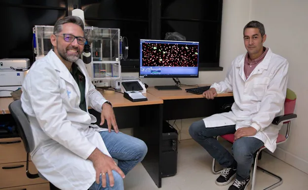 Los investigadores Gabriel Bretones y Alejandro Piñeiro, ambos del Departamento de Bioquímica y Biología Molecular de la Universidad de Oviedo. 