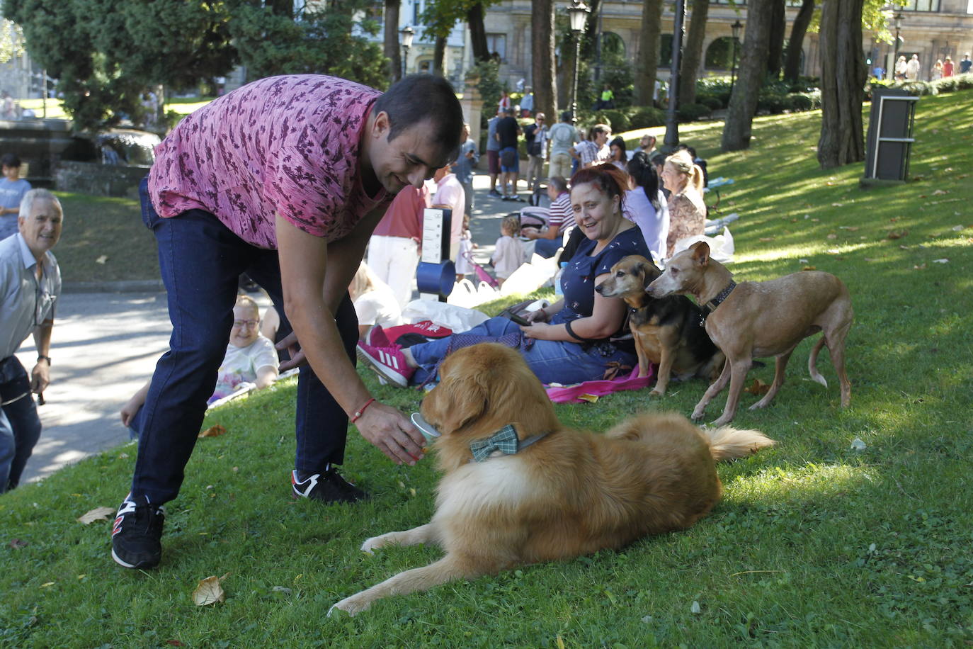 Fotos: Todas las imágenes del bollo en San Mateo