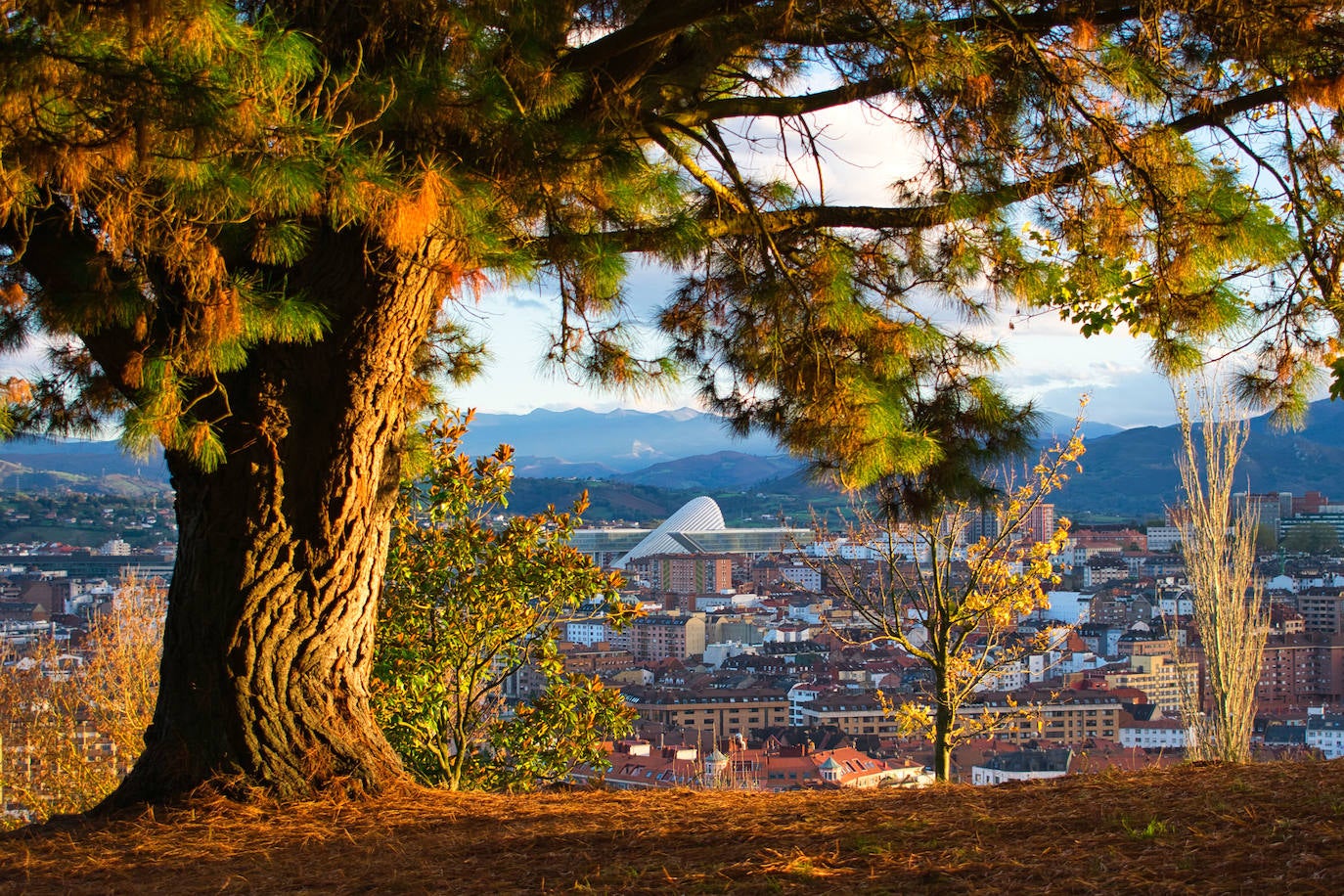 Fotos: Paisajes únicos que podrás ver en Asturias este otoño