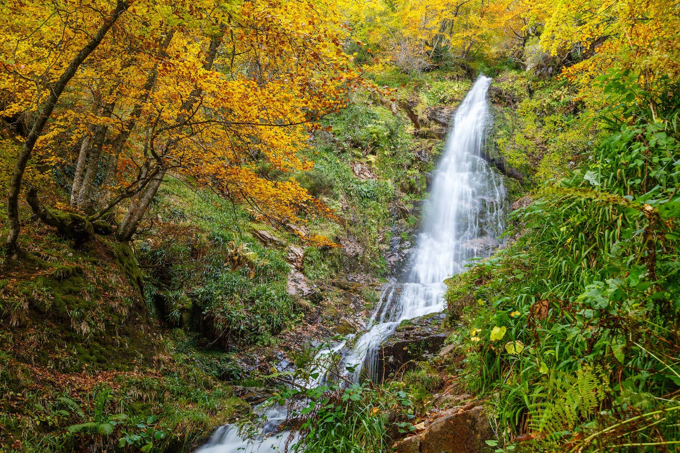 Fotos: Paisajes únicos que podrás ver en Asturias este otoño