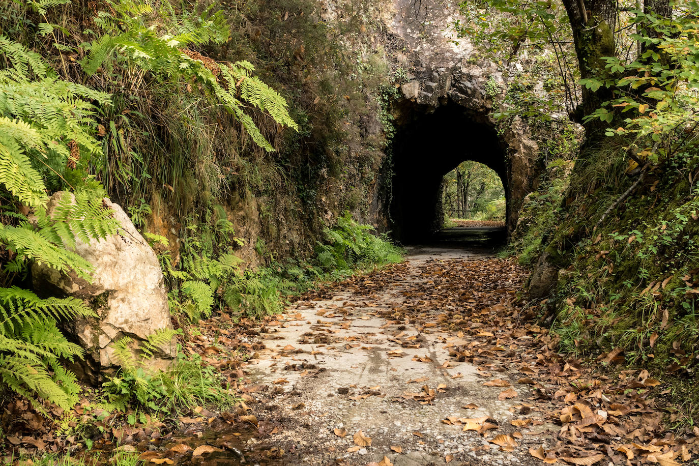Fotos: Paisajes únicos que podrás ver en Asturias este otoño