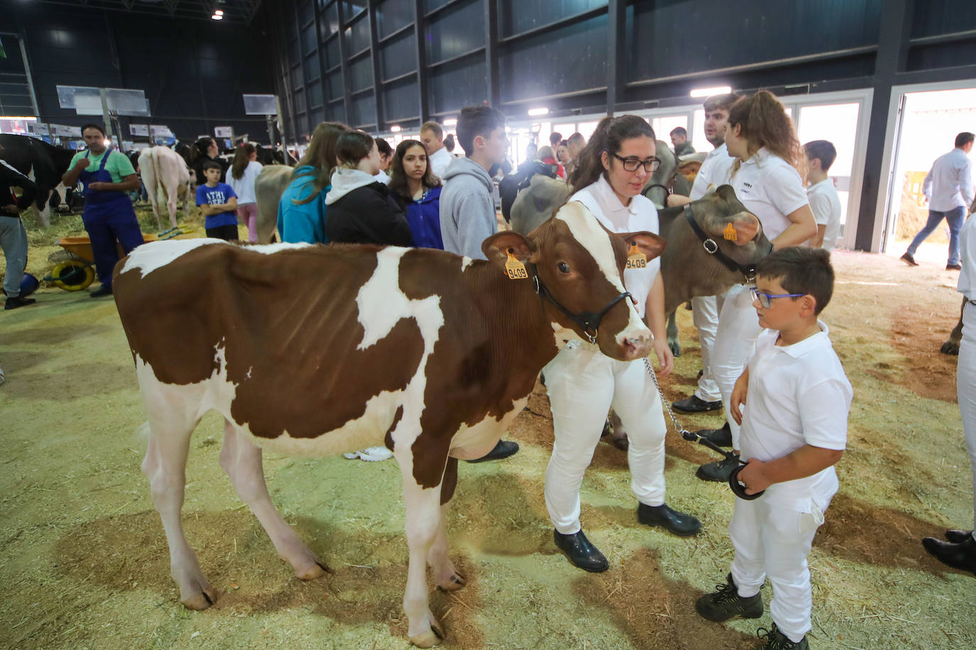 Fotos: La esencia de Agropec, la feria del campo asturiano