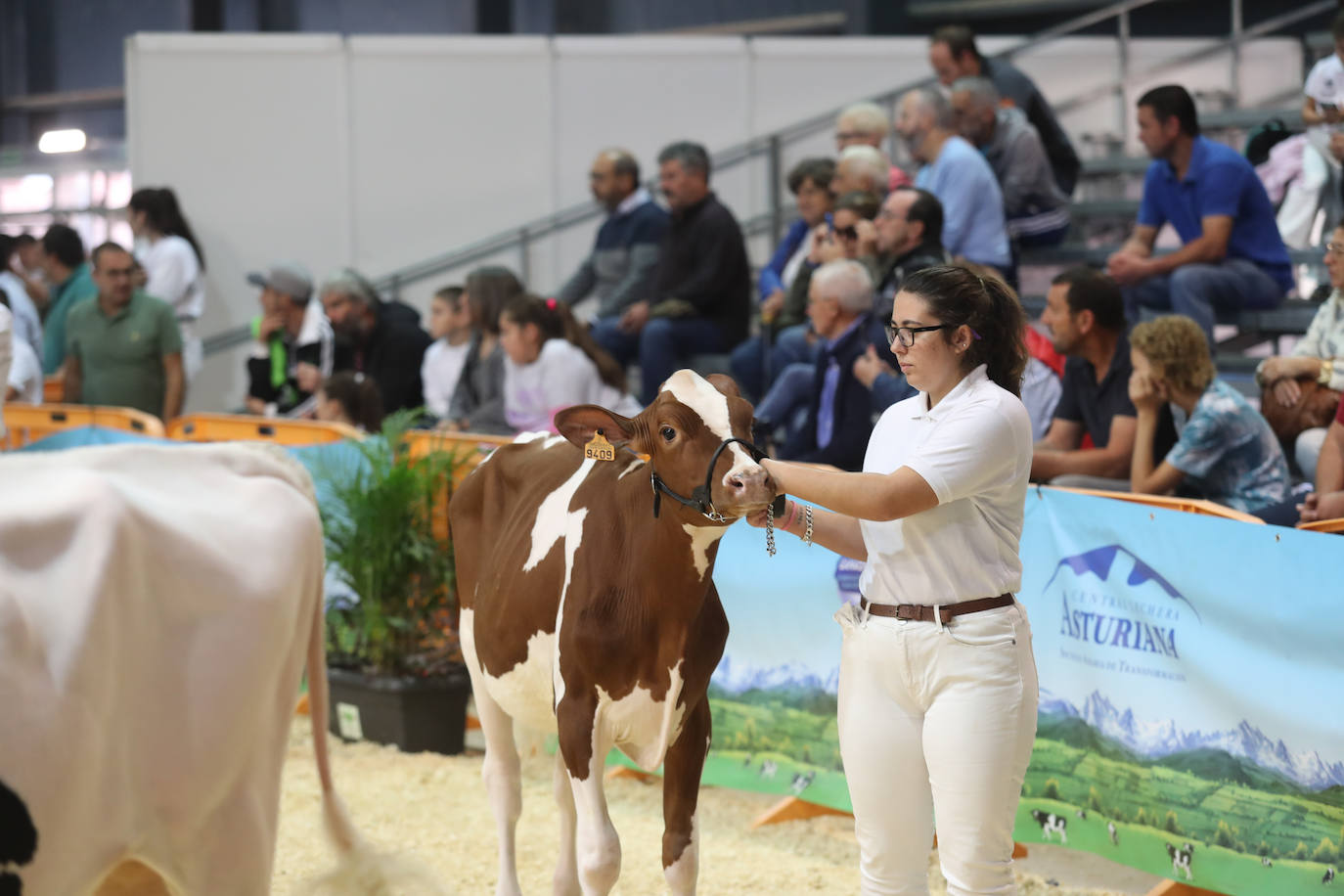 Fotos: La esencia de Agropec, la feria del campo asturiano