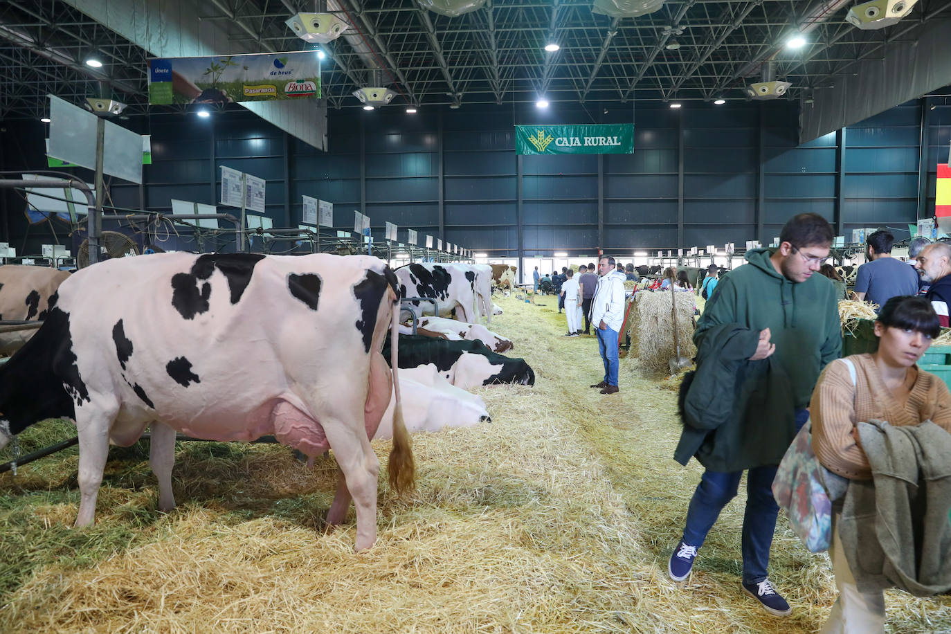 Fotos: La esencia de Agropec, la feria del campo asturiano