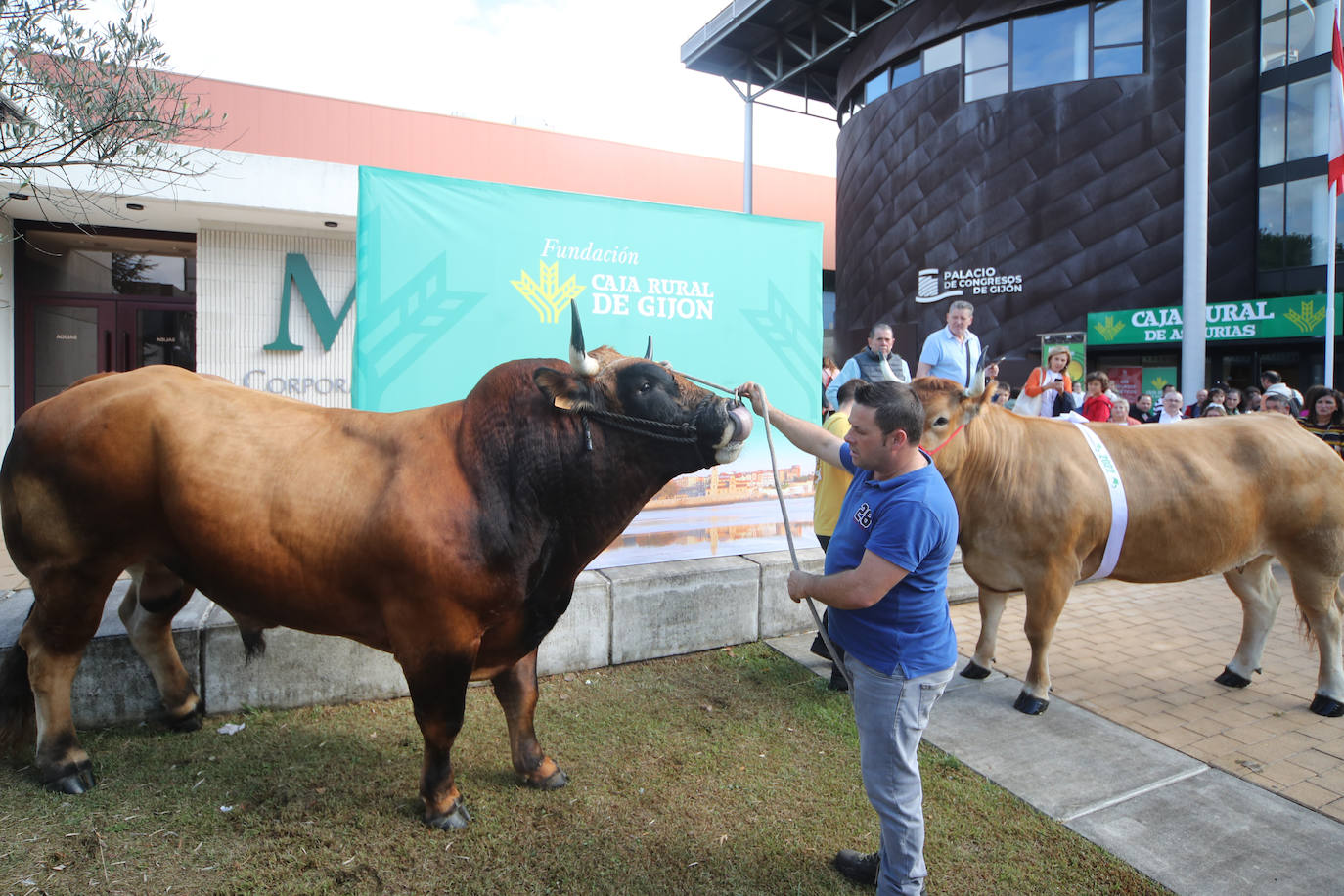 Fotos: La esencia de Agropec, la feria del campo asturiano