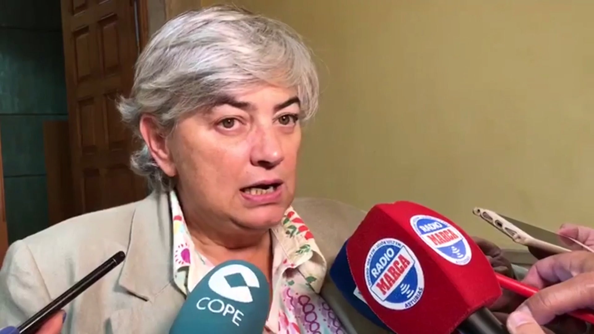 Ana González «Tenemos que saber cuánto cuesta y quién lo va a pagar» El Comercio Diario de