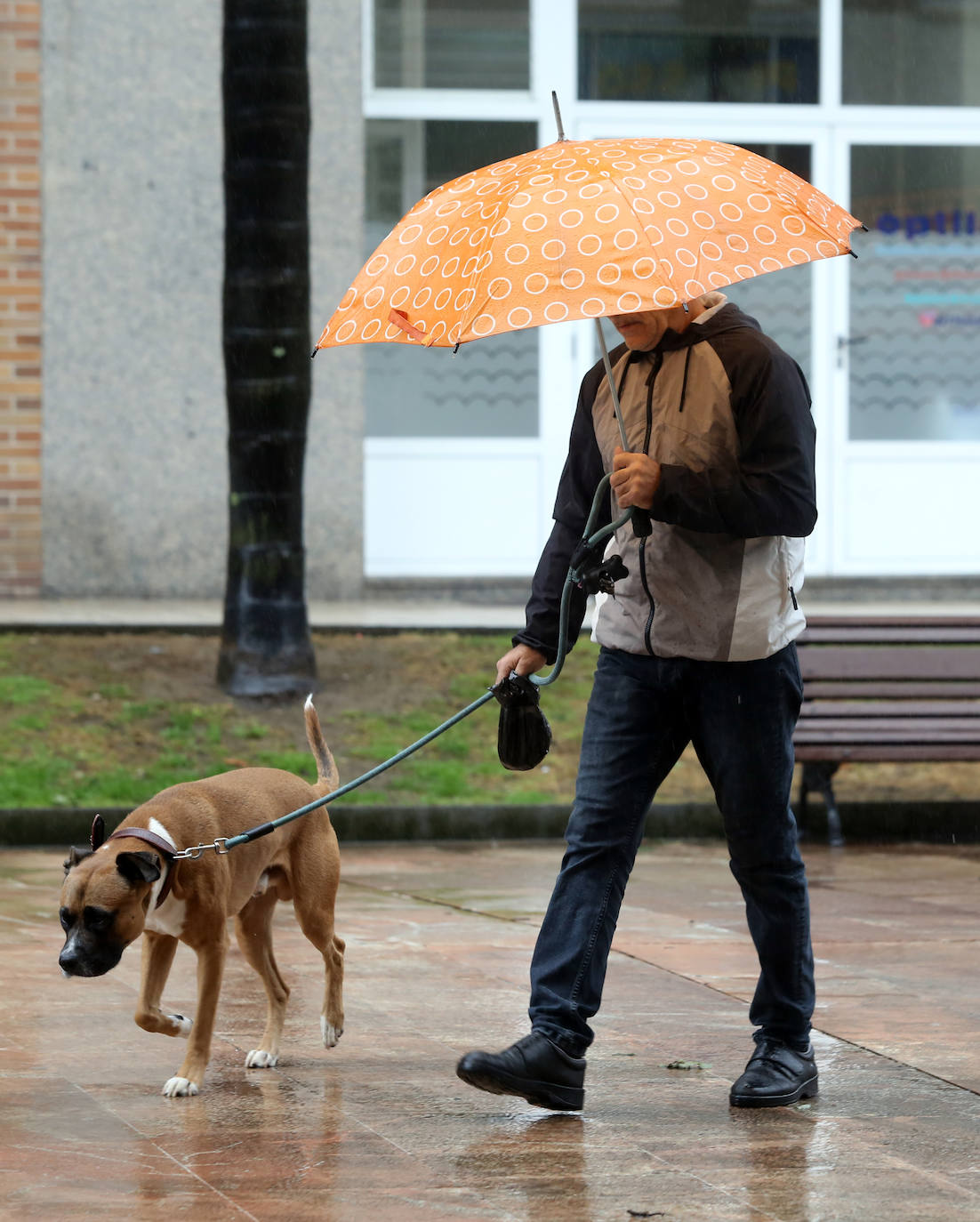Fotos: Asturias bajo el paraguas