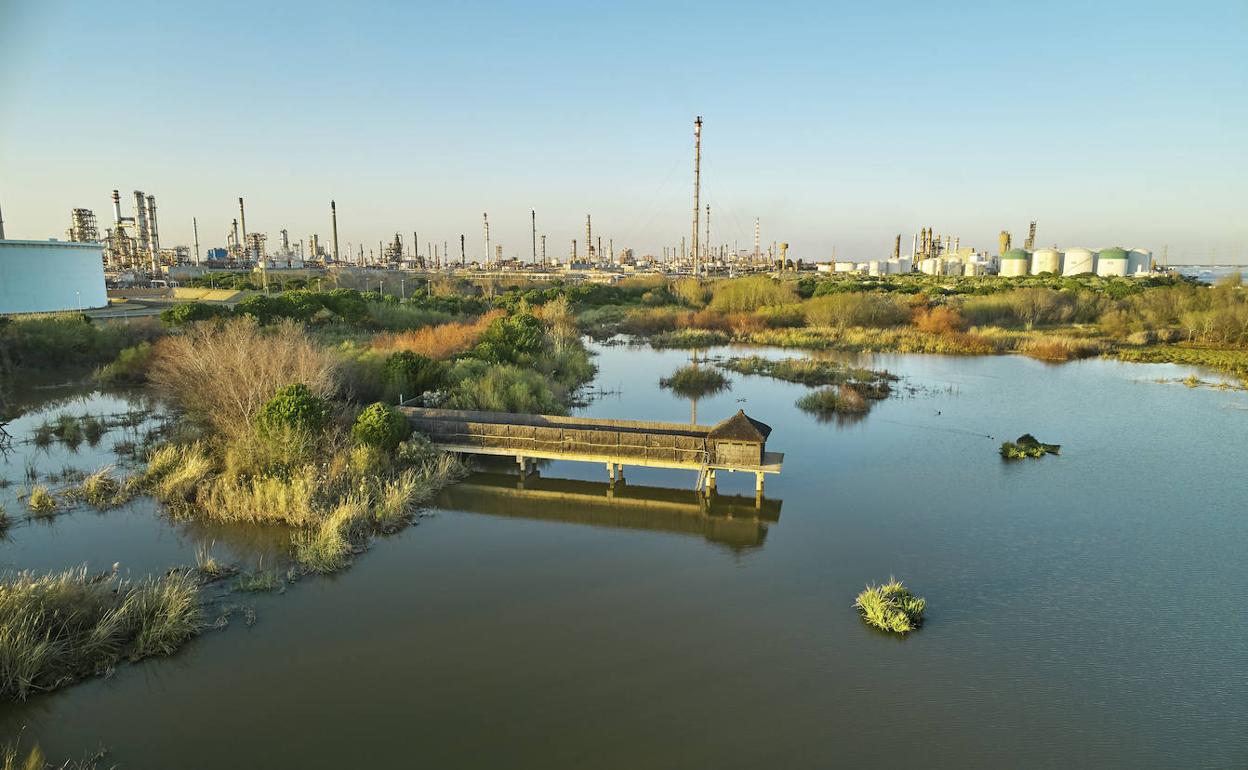 Instalaciones de Cepsa en Palos de la Frontera (Huelva) donde se fabricará el biocombustible.