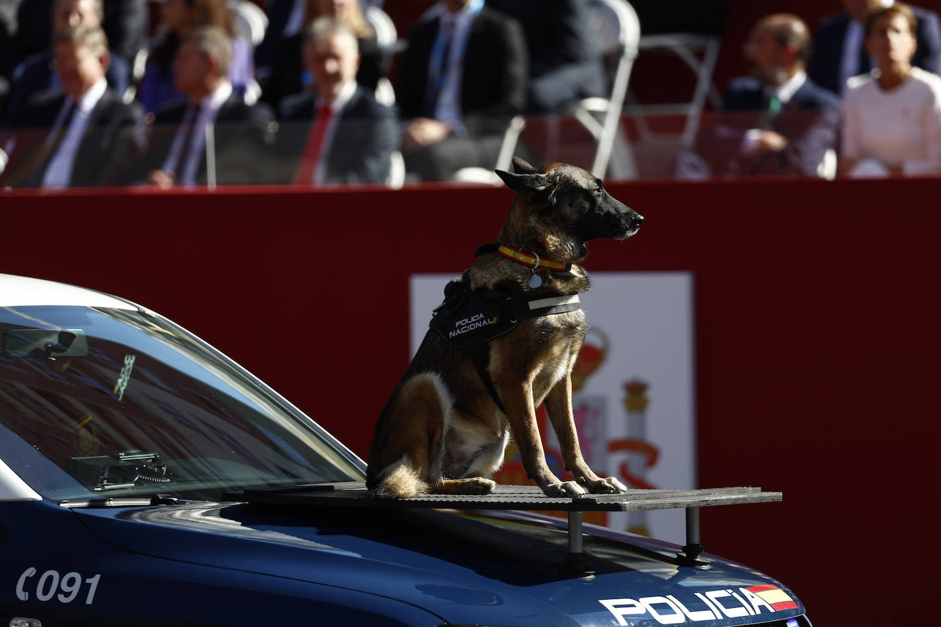 Fotos: Las imágenes del desfile del 12 de octubre presidido por los Reyes