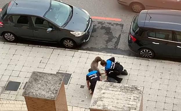 Un hombre es reducido por la Policía Local de Avilés tras herir a un adolescente con un cuchillo.