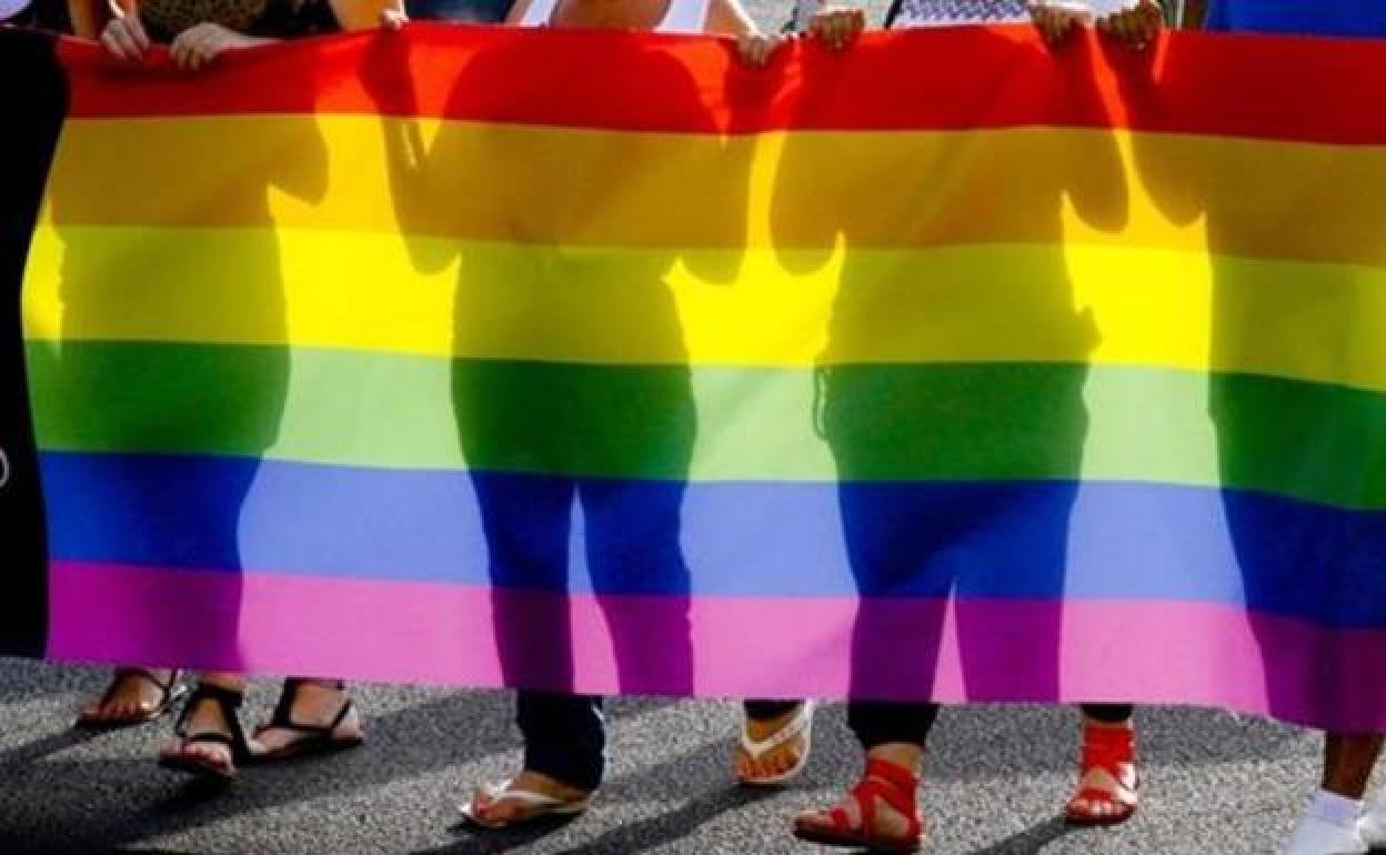 Las asociaciones LGTBI y los sindicatos rechazan la Ley regional por «insuficiente»