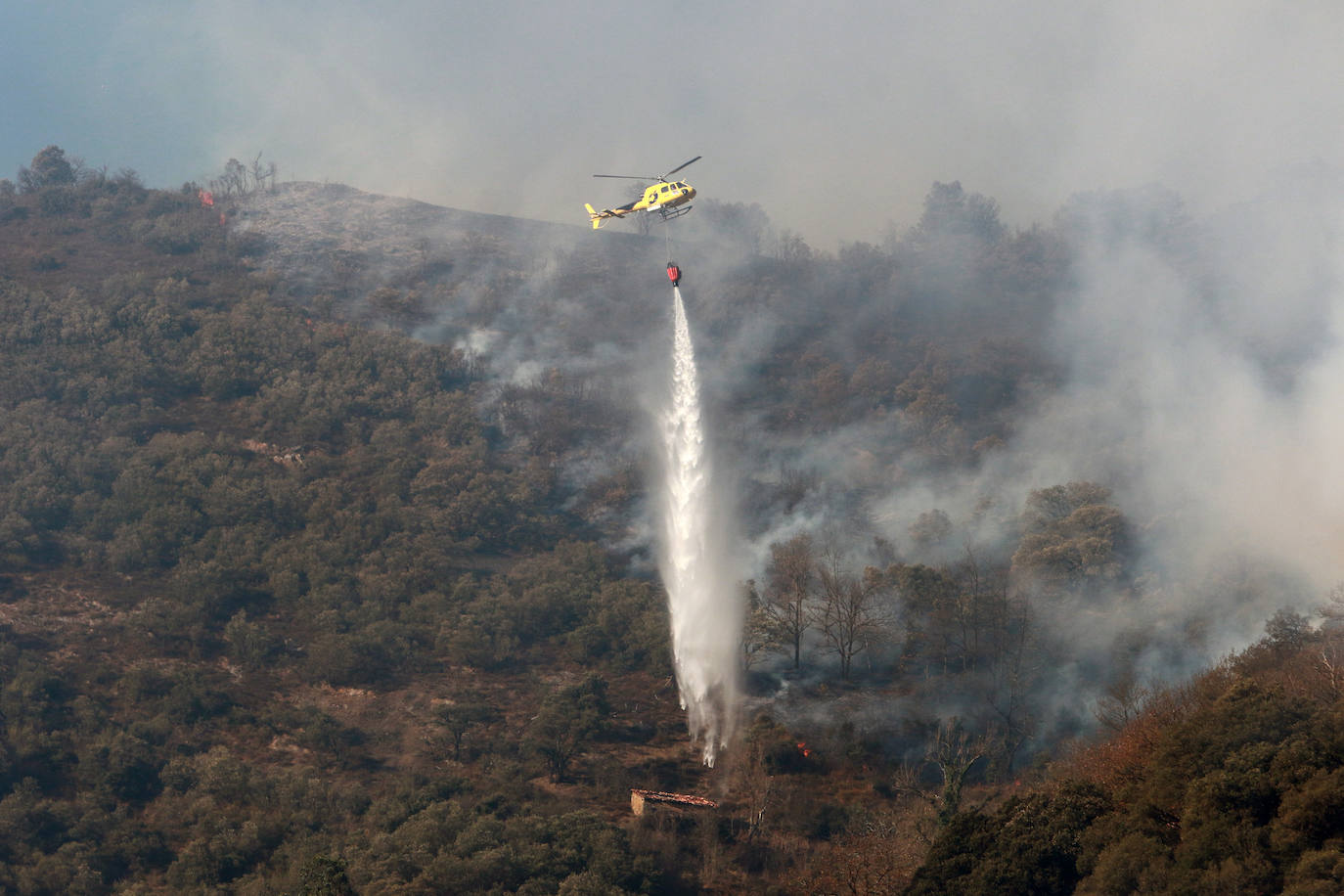 Fotos: Lucha contra el fuego en Lena