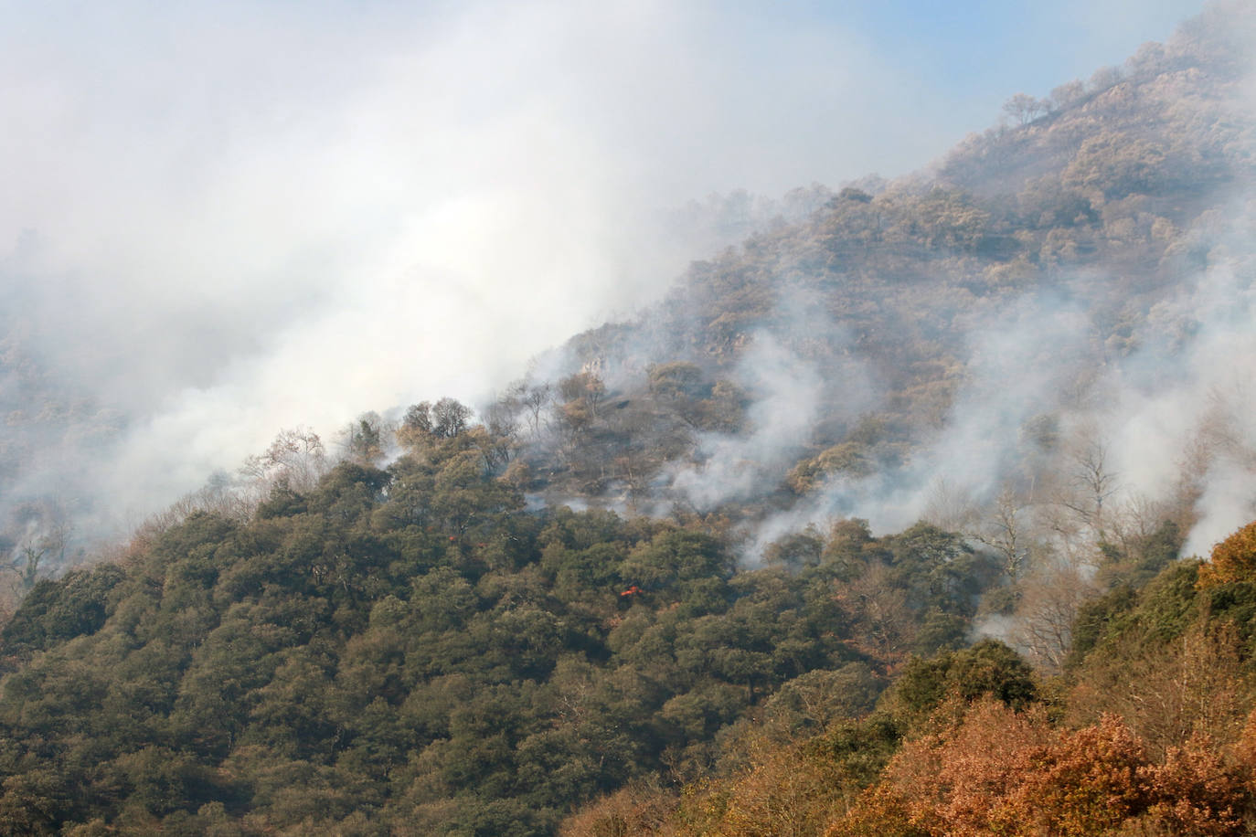 Fotos: Lucha contra el fuego en Lena