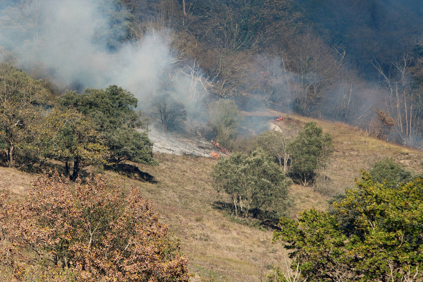 Fotos: Lucha contra el fuego en Lena