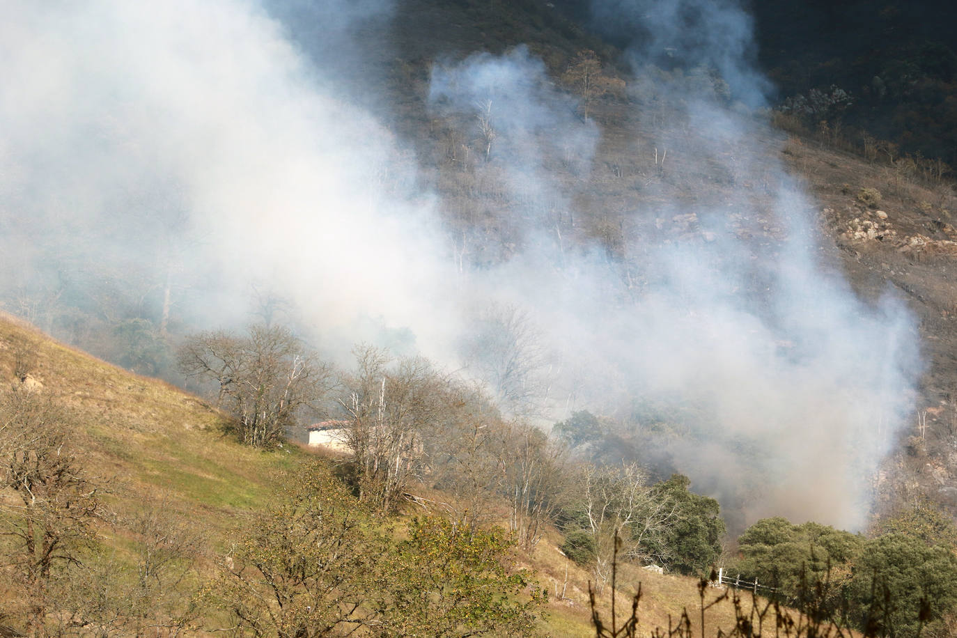 Fotos: Lucha contra el fuego en Lena