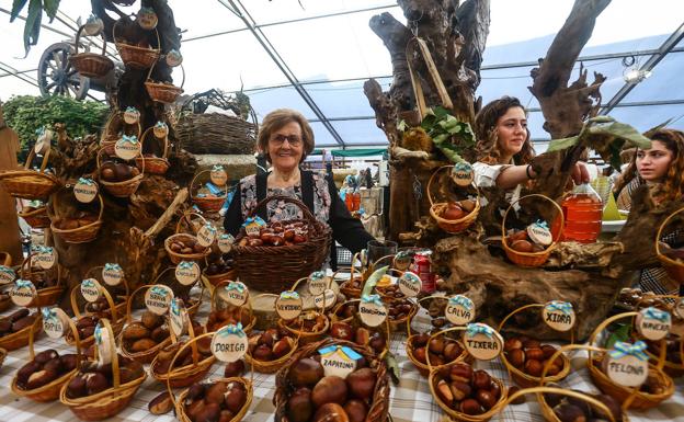 Hortensia González, primer premio de la categoría de castañas. 