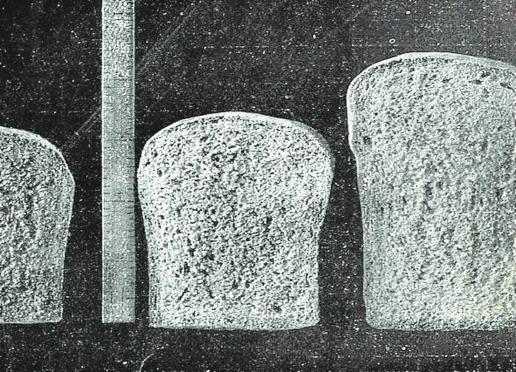 El precio del pan corriente ascendía ya a 1,60 pesetas la pieza de 2,5 kilos.