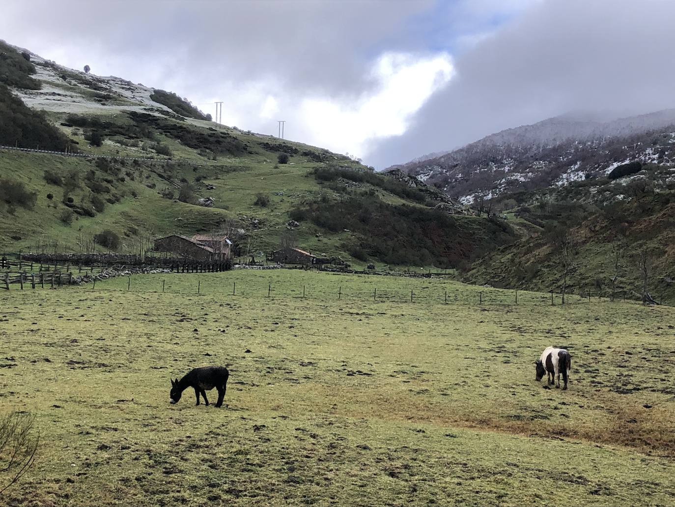 Fotos:Asturias luce las primeras nieves