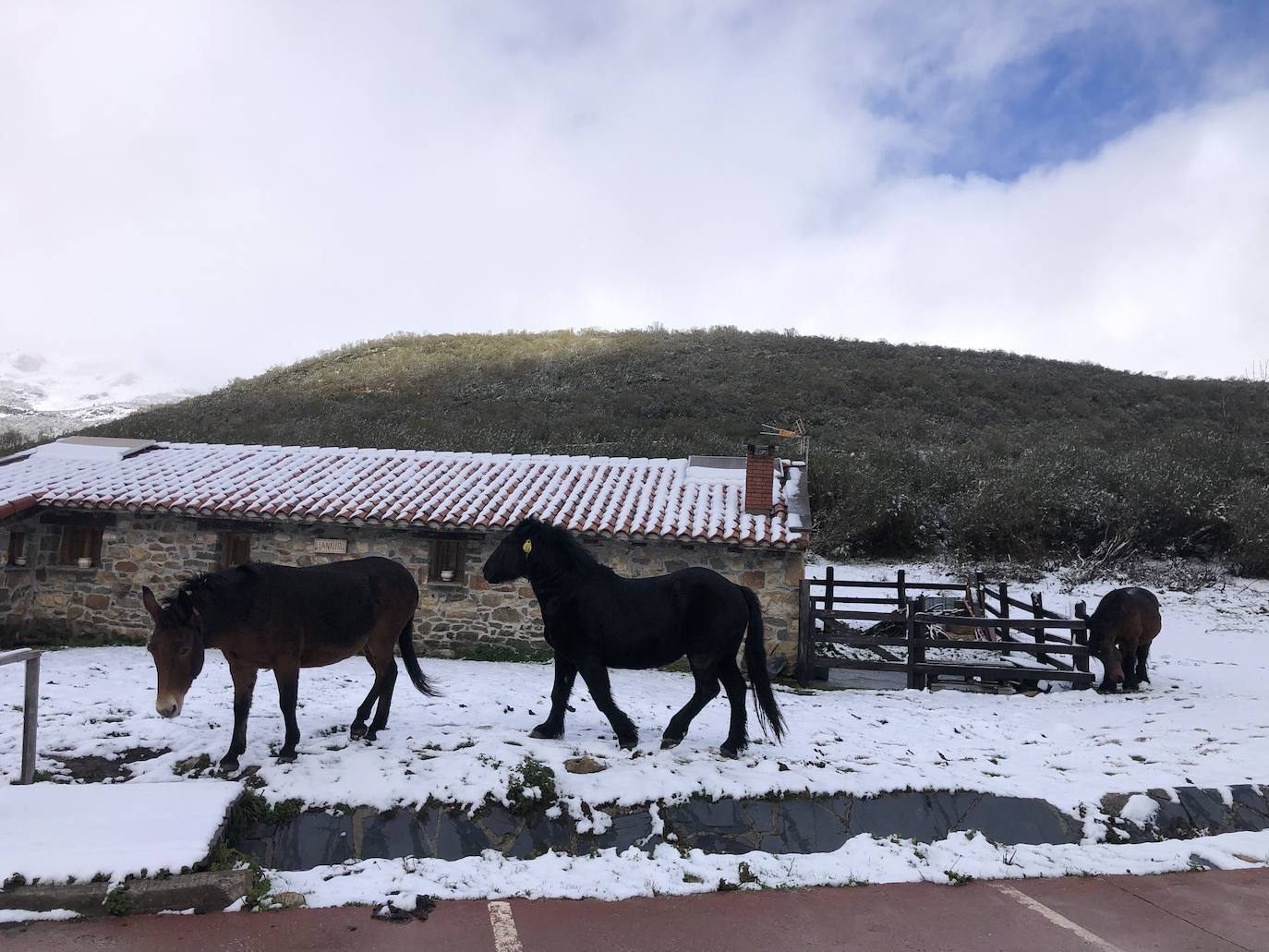 Fotos:Asturias luce las primeras nieves