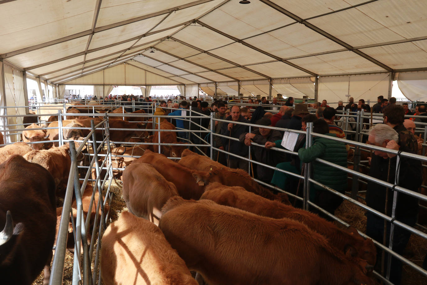 Fotos: Cabañaquinta brilla con El Mercaón